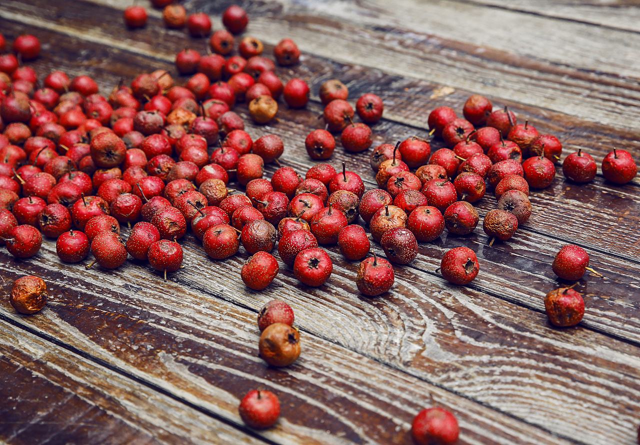 秋季温差大阴雨多，山楂容易出现轮纹病，学会科学防治减少损失