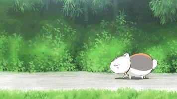 没想到猫也会功夫,没想到猫会这样走路