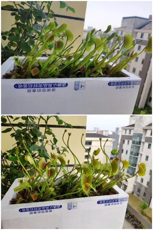 今日开心：判断内衣裤该丢了的标准