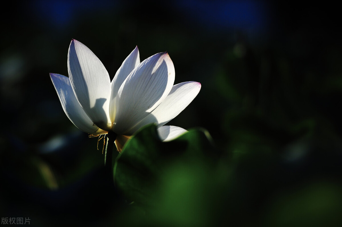 佛山三水区招聘,佛山三水区律师咨询电话