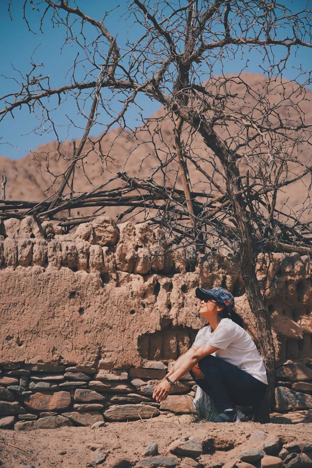 可盐可甜是哪首歌的歌词,可盐可甜出自哪