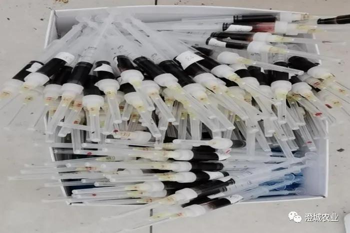 兰陵县疫情防控工作,布病防控宣传