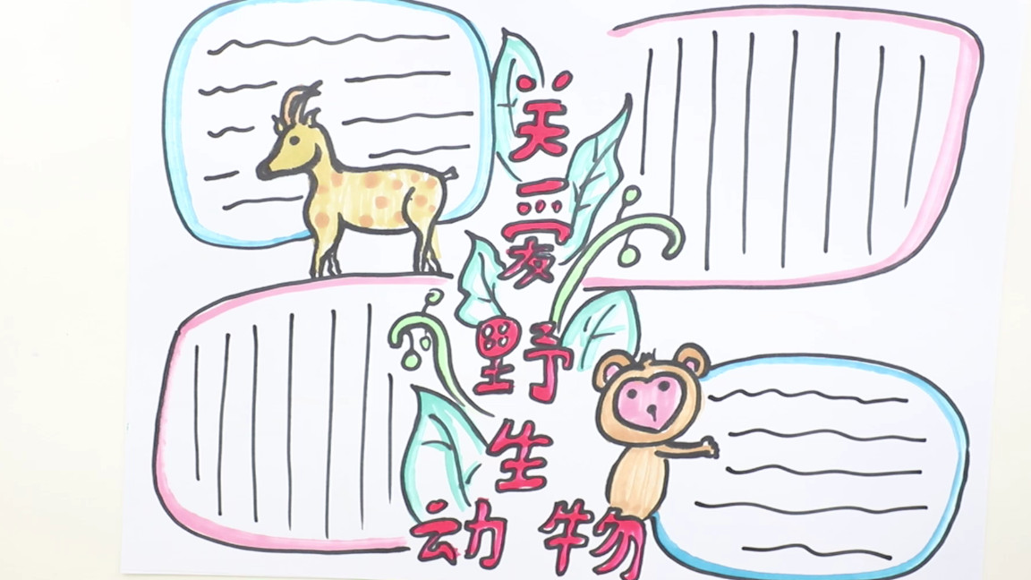 保护野生动物的手抄报内容,病从口入保护野生动物手抄报