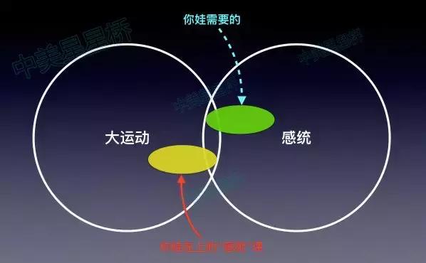 如何在运动中辅助治疗自闭症？感统、大运动、LSP······