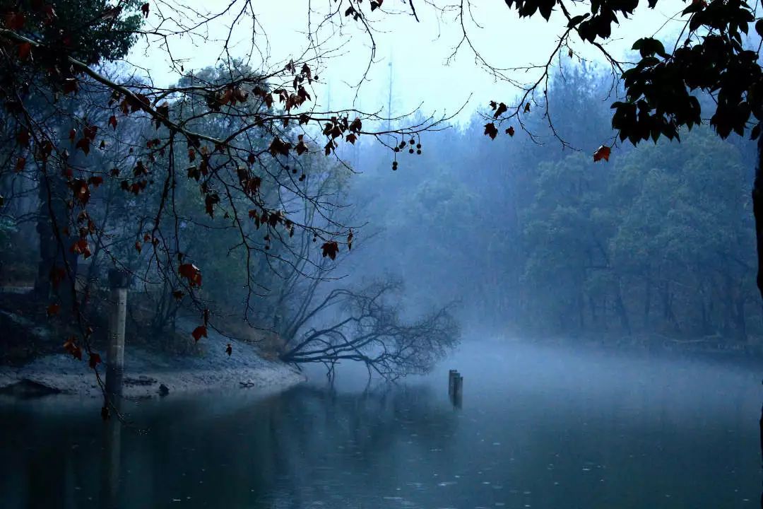 “越国敦煌”，1600多年的佛国洞天——新昌大佛寺