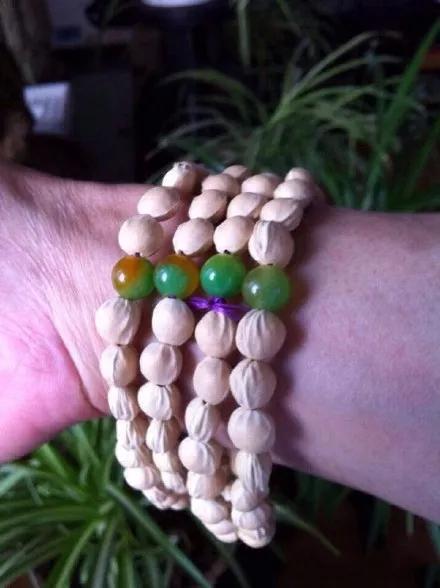 吃剩的水果核不要丢弃,吃剩的樱桃籽能种吗