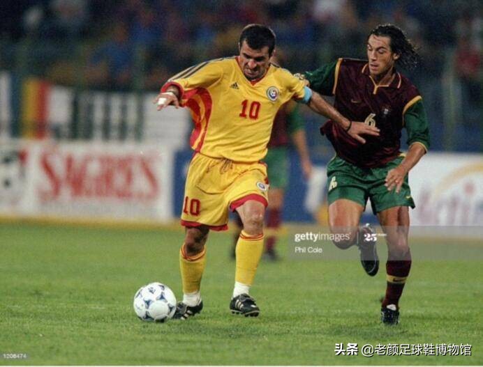 权健主帅,权健主教练卡纳瓦罗