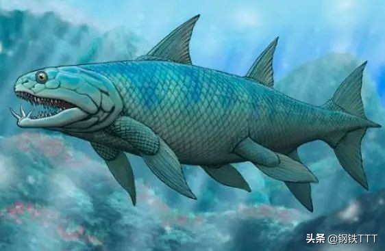 为什么哺乳动物是卵生,为什么哺乳动物都是4肢