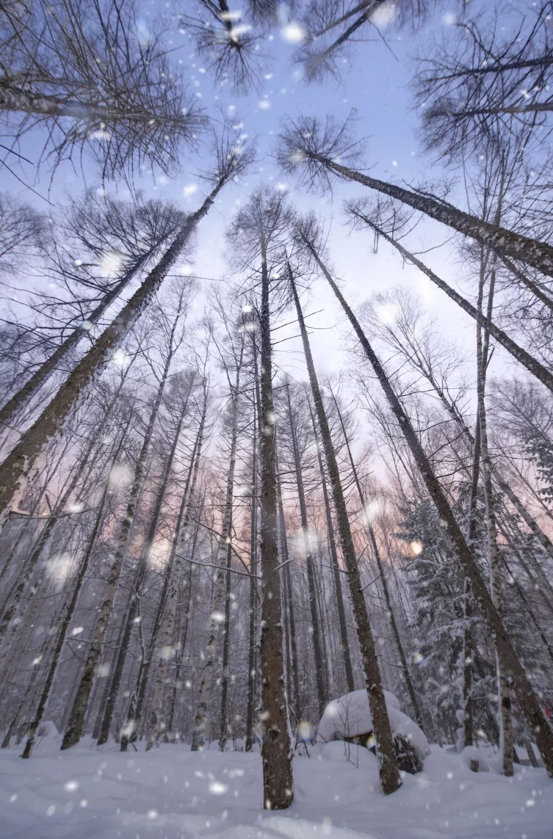 吉林在哪里看雾凇比较好,雾凇哪儿好看