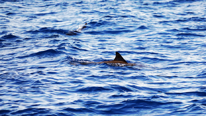 海上香格里拉金町湾,马尔代夫香格里拉隐逸的海岛天堂