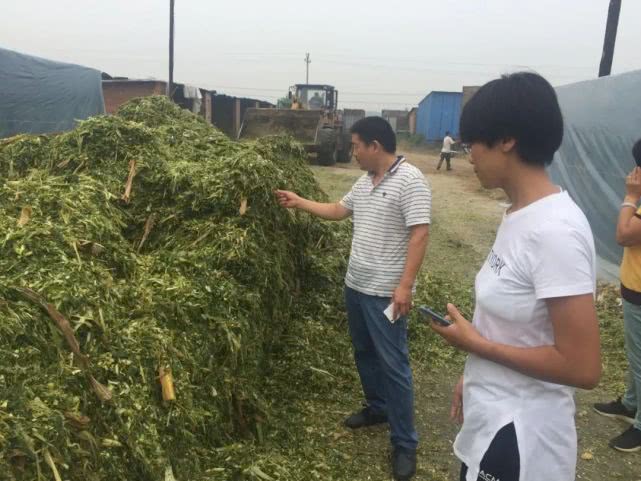 唐山乐亭县杨建辉,唐山市乐亭县杨建辉视频