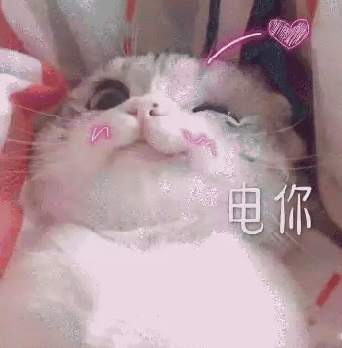 九月爱用物,九月日常好物分享