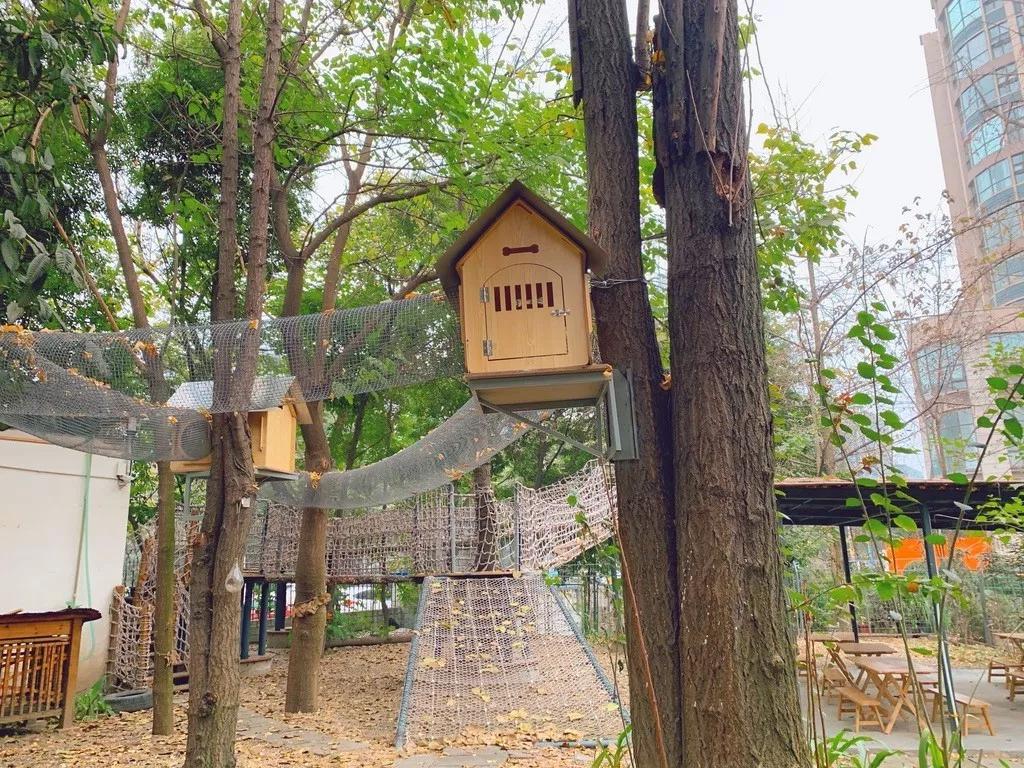 成都武侯探店,成都高性价比民办园