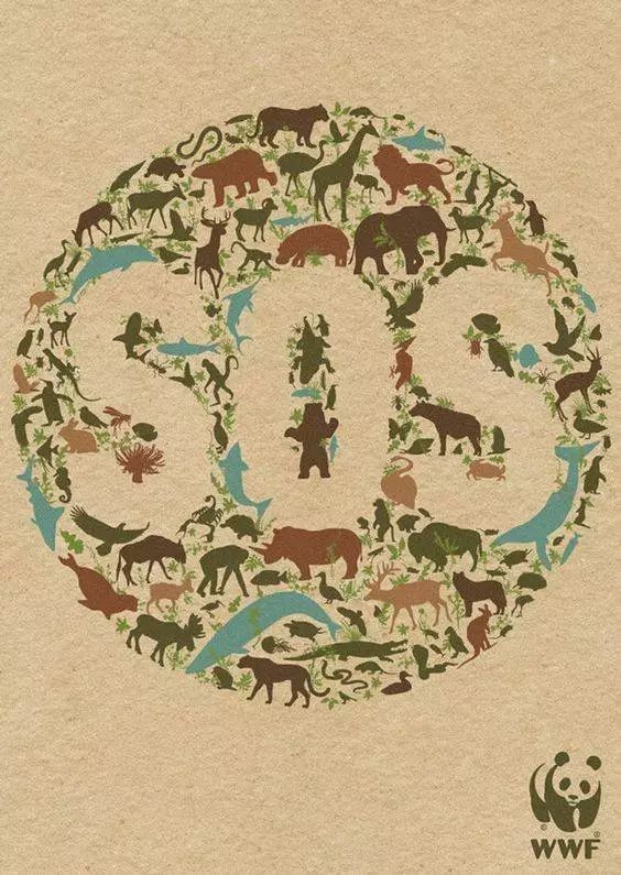 流水的英文单词怎么写,流水的英语怎么说