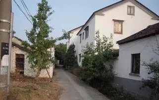 农村有什么好的创业项目见效快,当下最适合农村创业的生意有哪些