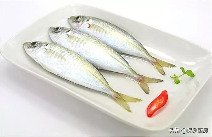 海鲜大荟萃,常见贝壳类海鲜