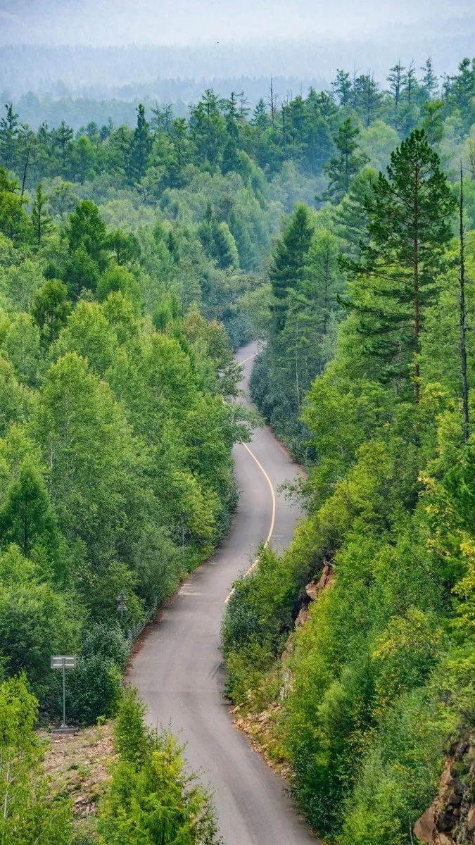 戴口罩的冬天太漫长，差点忘了中国的春天有多美