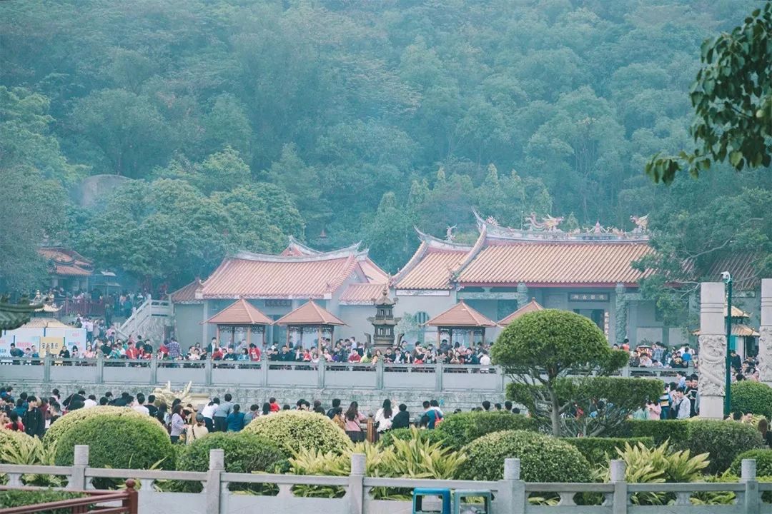 深圳11号线哪一站下车可以看海,坐深圳11号线去看海的地方