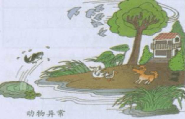 地震来临前动物的行为,动物的异常行为