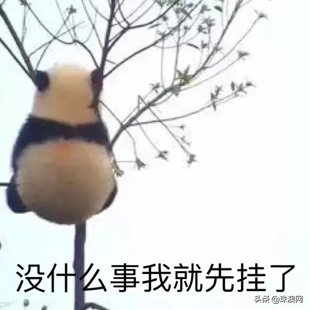 维密众神时代经典走秀2003,2003年维密被称为众神时代