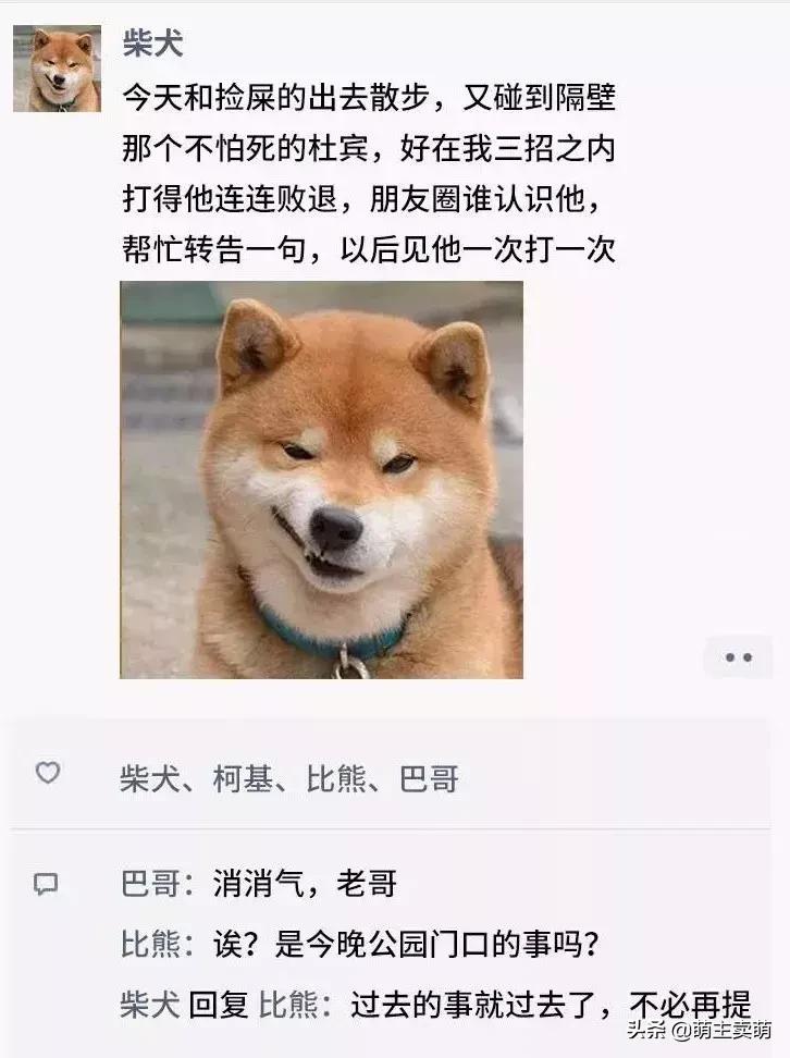 狗狗如何拟人化,狗行为拟人化