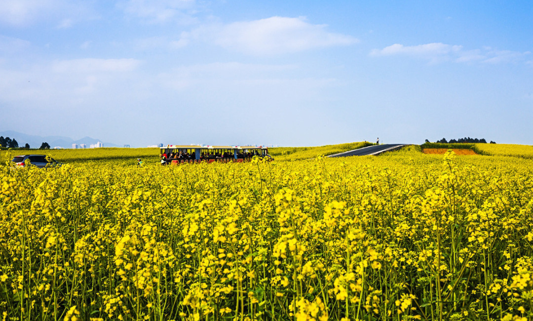 昆明美食地图,昆明美食攻略十大必吃排行榜