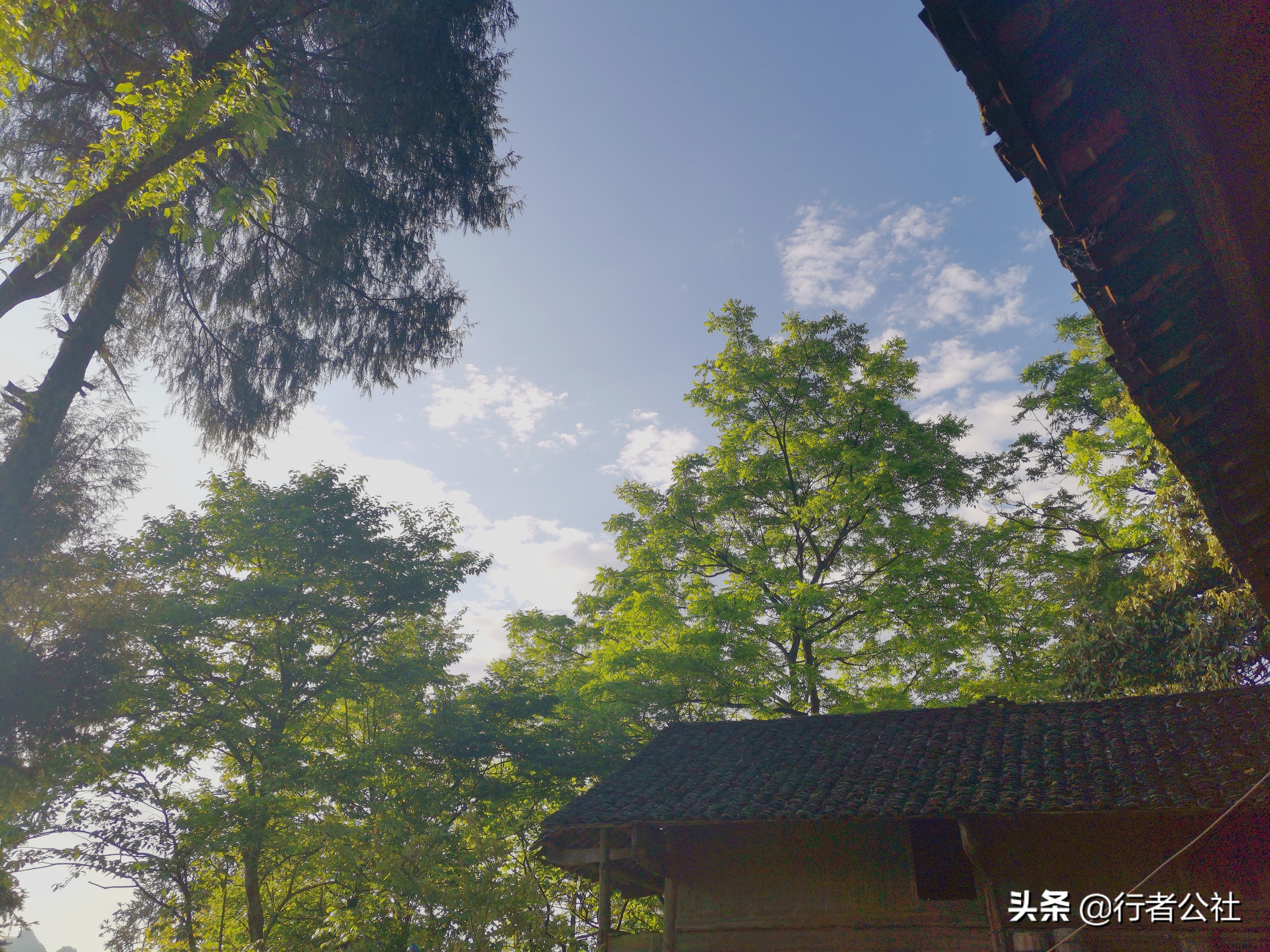 雨后青山云雾缭绕温度宜人,雨后青山云雾缭绕