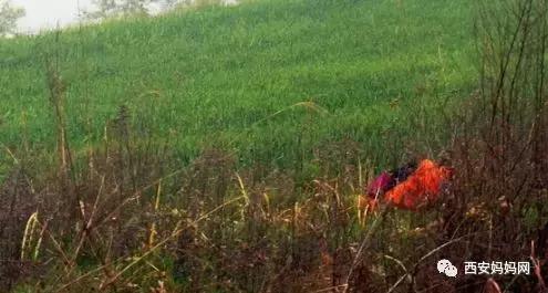 距离西安近的自然风景区,西安自驾游古梯田