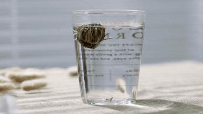 不喝没味道的白开水,不喝饮料是我最后的倔强