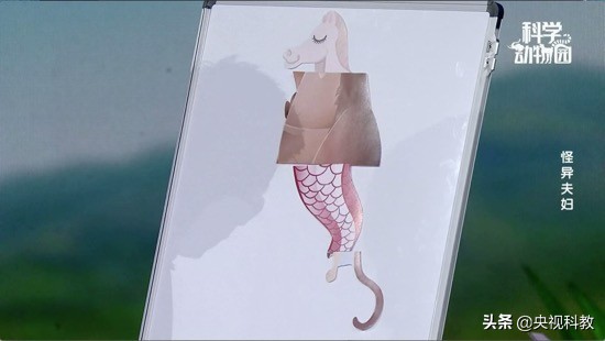 澶ц穼鐪奸暅,澶ц穼鐪奸暅鍜屽嚭涔庢剰鏂欑殑鍖哄埆