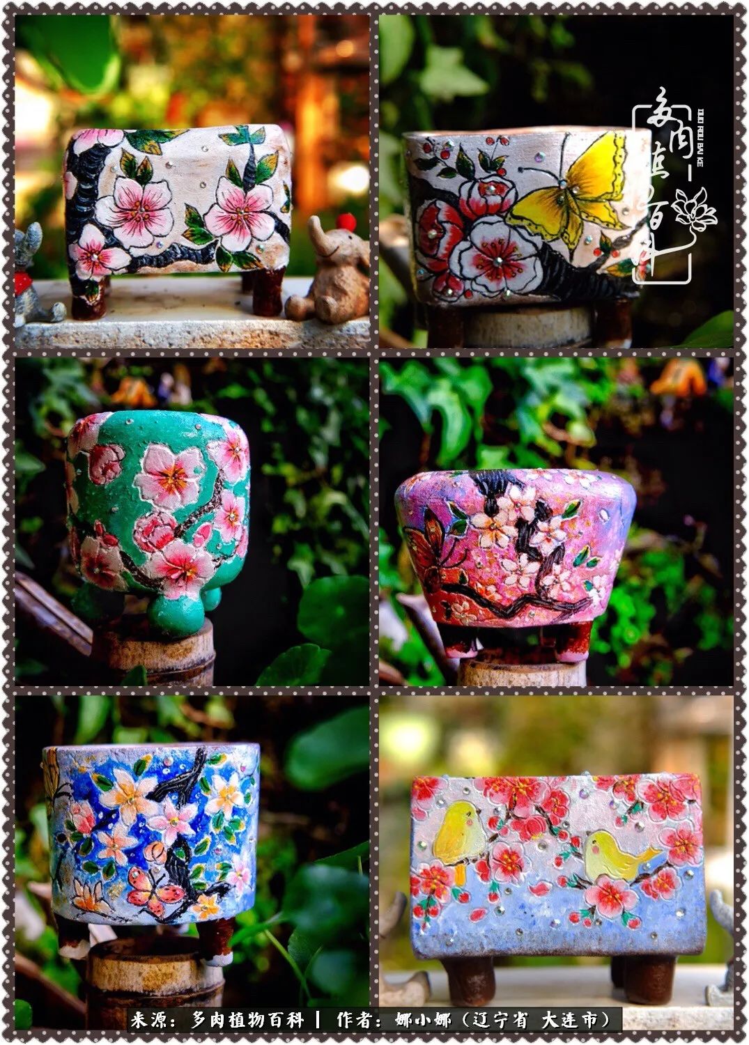 你是盆我是花，你护我周全，我为你绽放