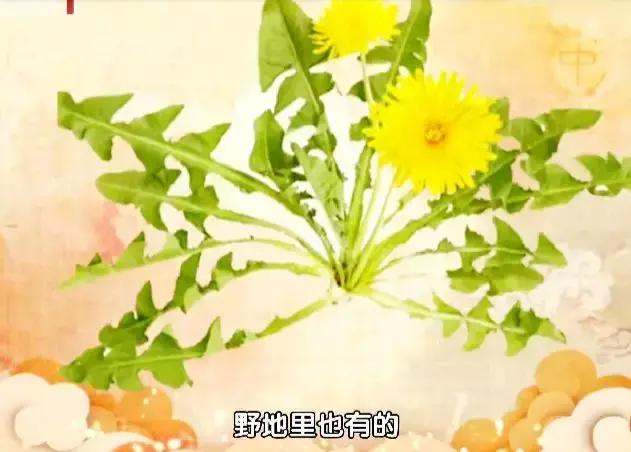 针灸治疗胃癌晚期实例,针灸治疗胃癌成功案例视频