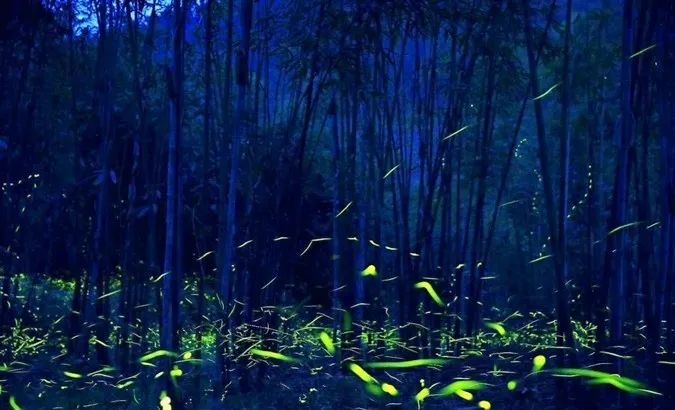 成都国色天香好耍的园区,成都附近水上城市