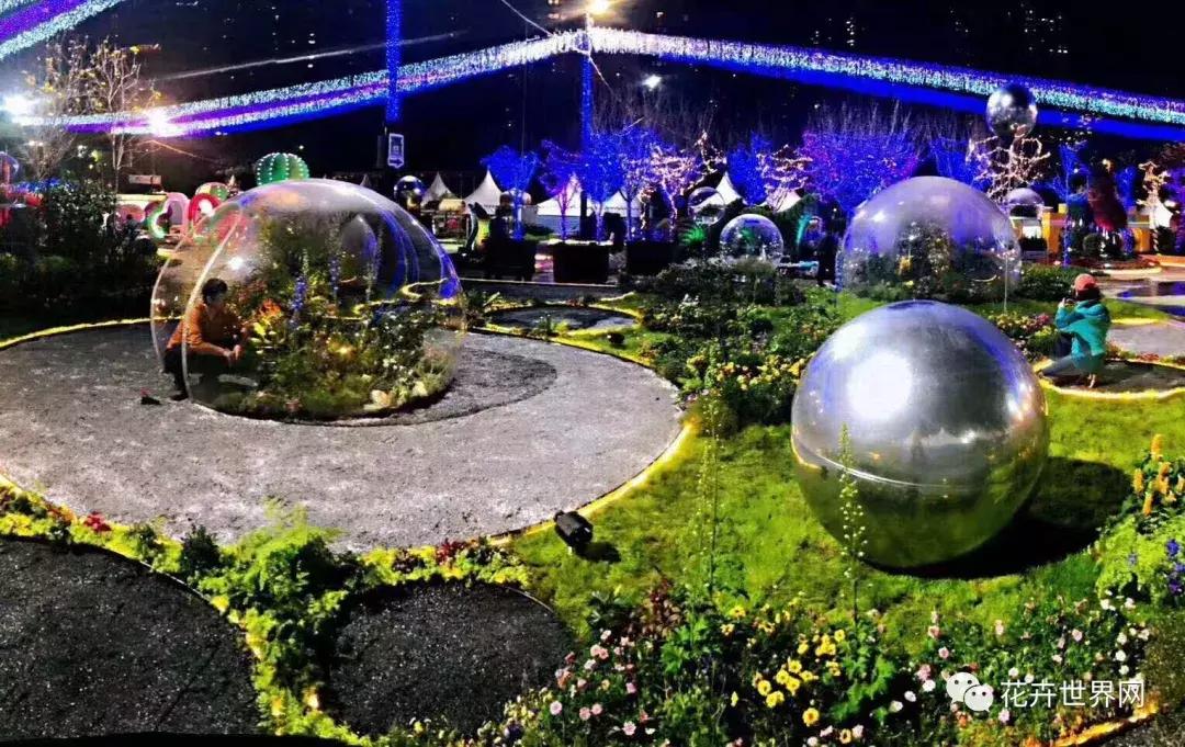 香港花卉艺术展,共赴盛会活动