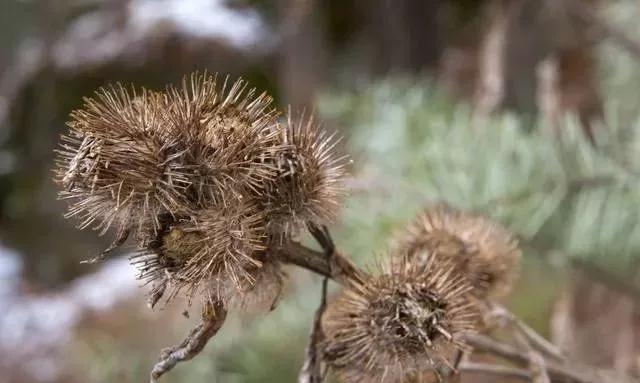 是药三分毒服用需谨慎,是药三分毒要对症