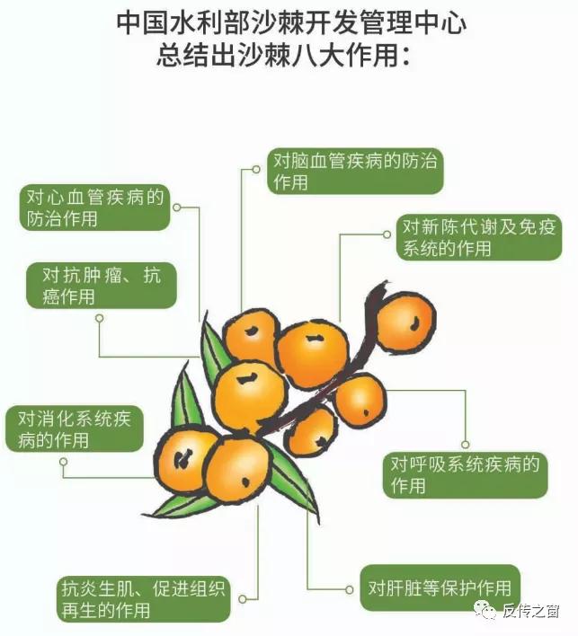 福能源直销现状,福能源最新传闻