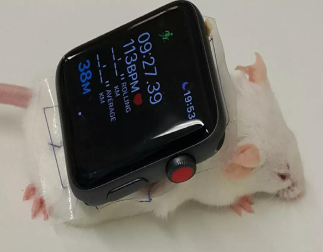 基因开关黑科技？植入体内后再也不怕血糖升高了