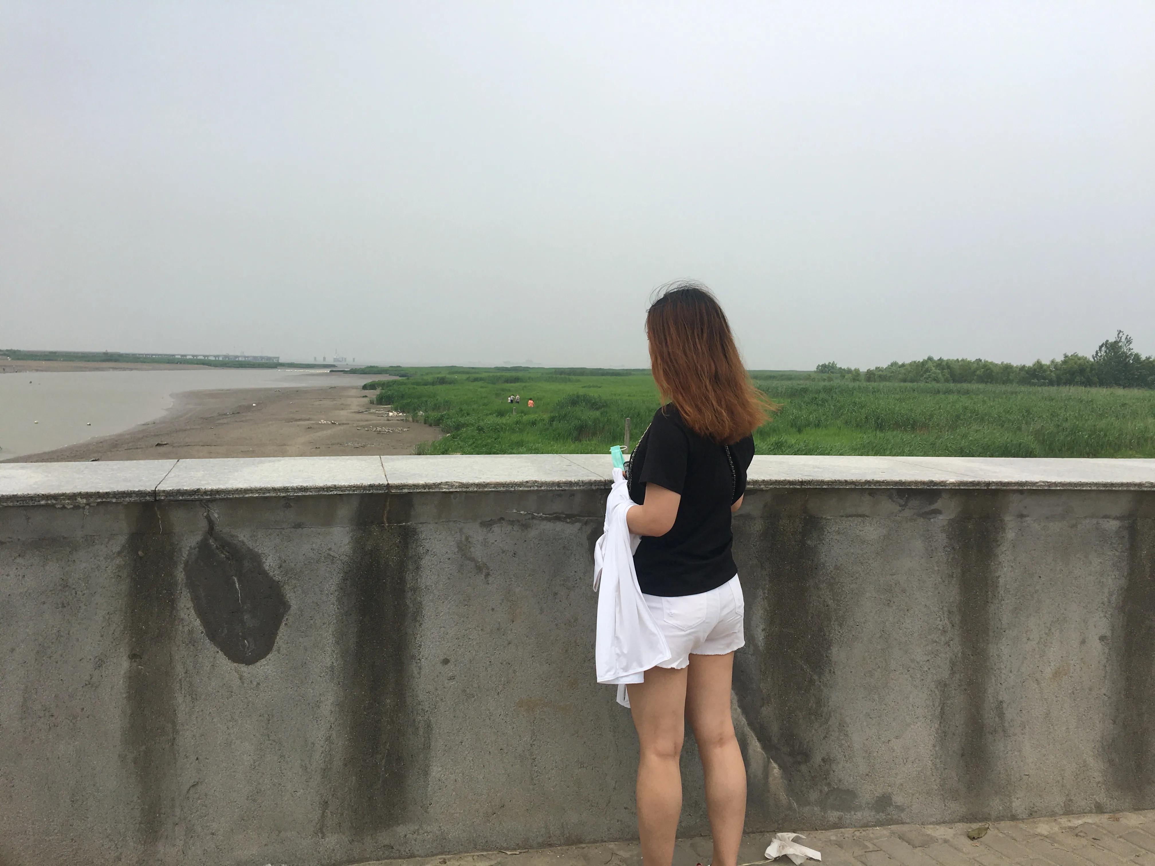 上海看美丽的大海,上海哪里有海滩看大海免费