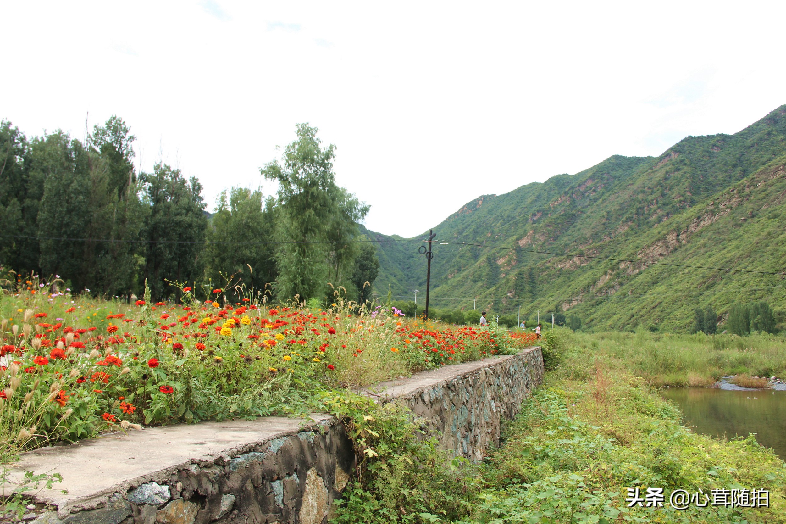自驾白河湾,白河湾自然风景区自驾