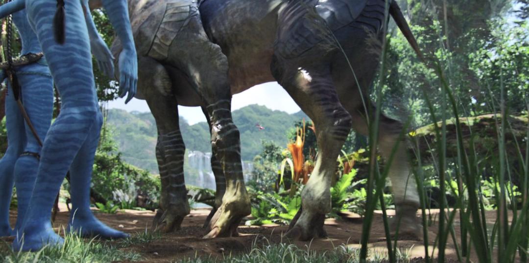 阿凡达最新彩蛋,阿凡达你不知道的隐藏细节