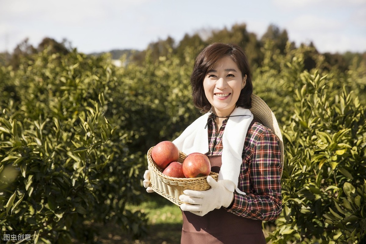 上海农民养老金退休金,上海过渡性退休养老金细则