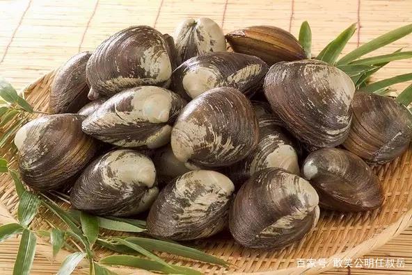 鄂霍次克海是淡水吗,太平洋日本海域