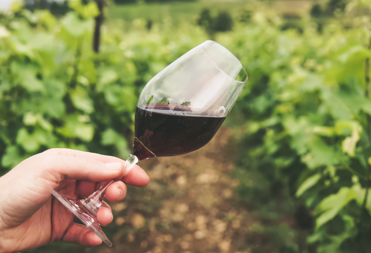 价格便宜的红酒能喝吗,超市30块钱的红酒