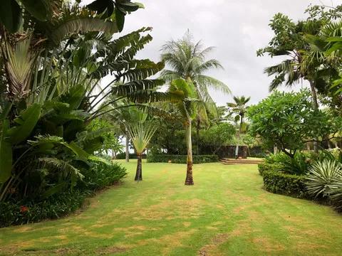 1989年，我被爱情撞了一下腰，疼的死去活来