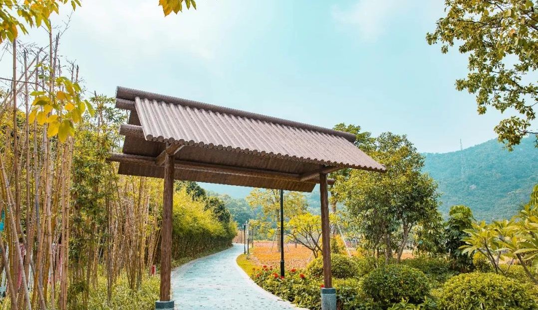 人少还免门票！深圳这片5000000㎡新公园美翻了，“神仙花谷”