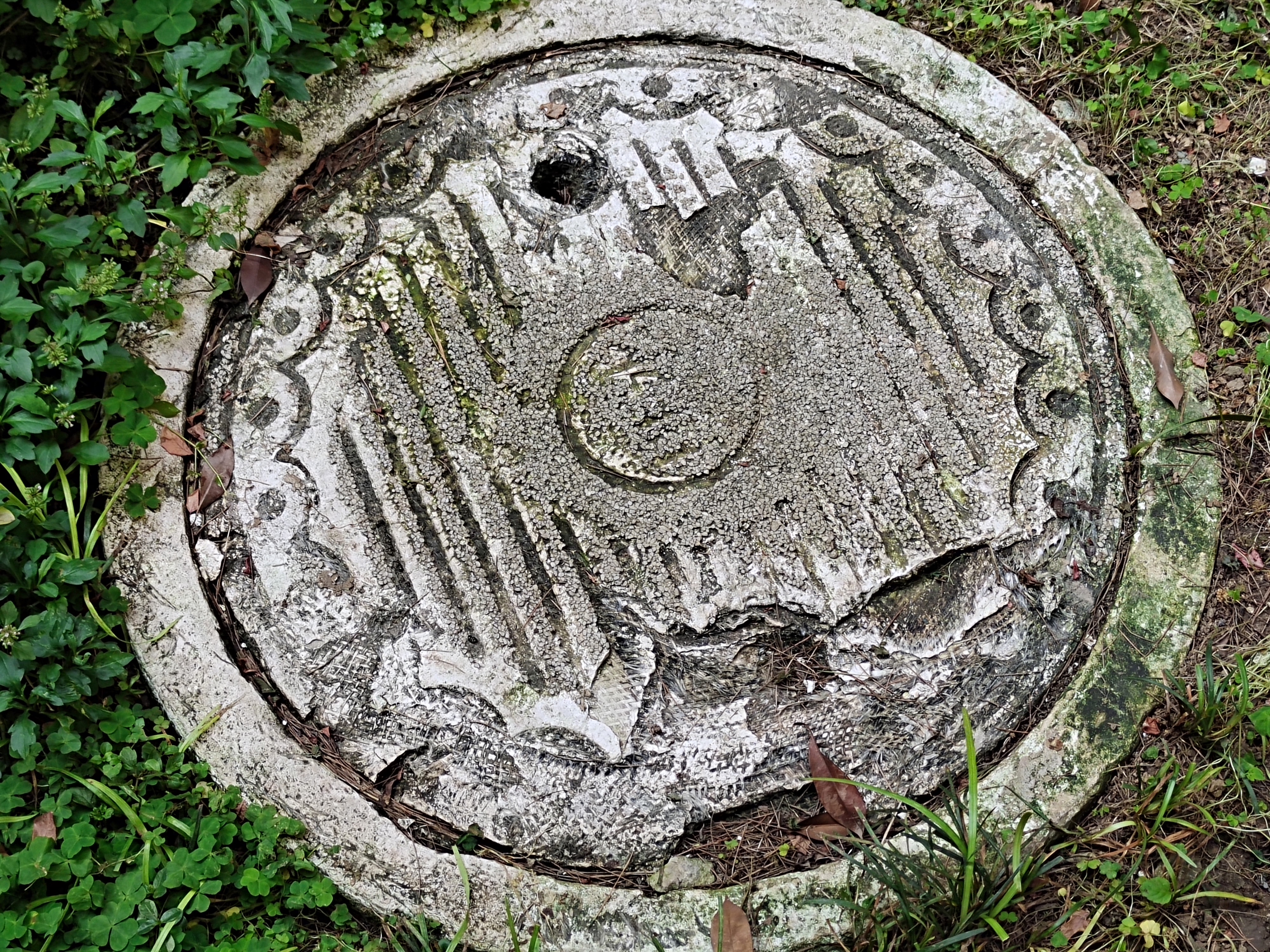 适合中年人用的5g智能手机,vivos6深度使用6大维度测评