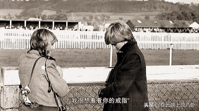 查尔斯王子为什么不爱戴安娜王妃,查尔斯王子与戴安娜关系