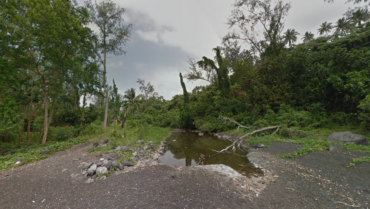 火山岛火山灰岛屿,一个全是巨型生物岛