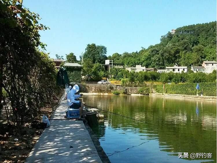 鱼塘有鱼但没口是什么原因？野钓客告诉你！