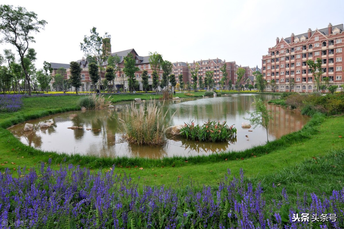 小学生写我的校园,五年级作文我的校园520个字